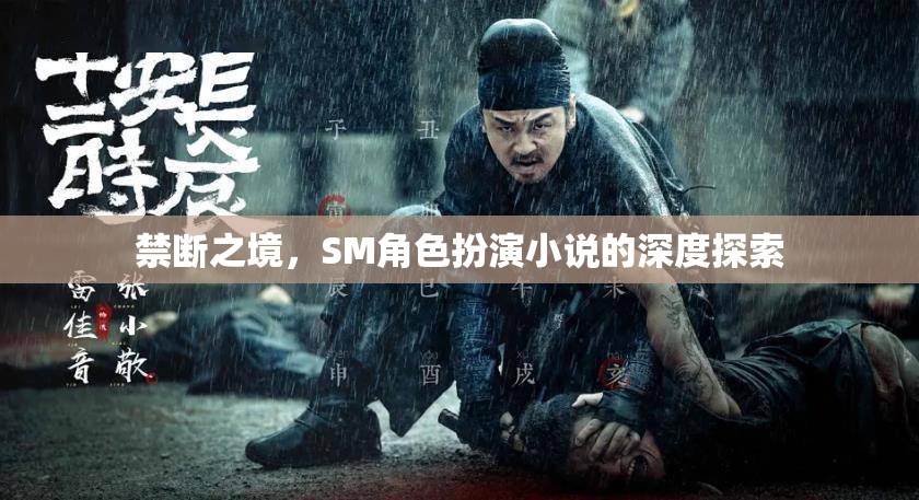 禁斷之境，深度探索SM角色扮演小說(shuō)的奧秘