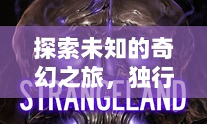獨(dú)行者的暗影之境，探索未知的奇幻3D角色扮演游戲之旅