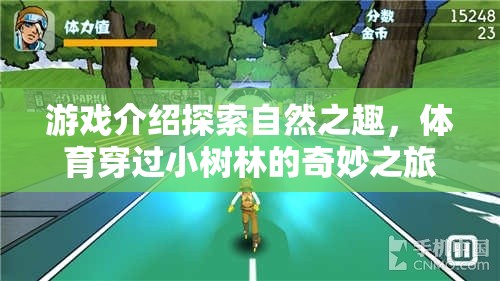 穿越小樹(shù)林的奇妙體育之旅，探索自然之趣的冒險(xiǎn)游戲