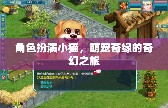 喵趣橫生，小貓的萌寵奇緣奇幻之旅