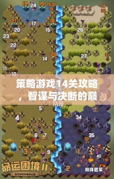 智謀與決斷的巔峰對決，策略游戲第14關(guān)攻略指南