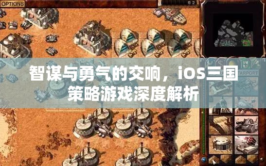 智勇交響，iOS平臺(tái)三國(guó)策略游戲深度解析