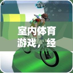 室內(nèi)體育游戲，經(jīng)驗(yàn)分享與樂趣探索
