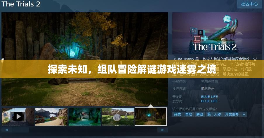 迷霧之境，組隊(duì)冒險(xiǎn)解謎的未知探索