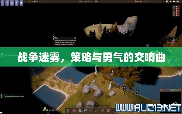戰(zhàn)爭迷霧，策略與勇氣的交響曲