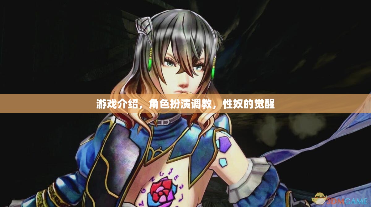 性奴覺(jué)醒，角色扮演調(diào)教游戲  第1張