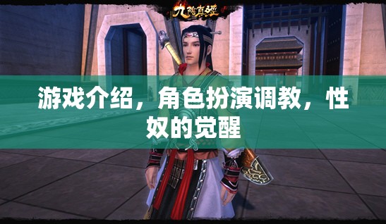 性奴覺(jué)醒，角色扮演調(diào)教游戲  第3張