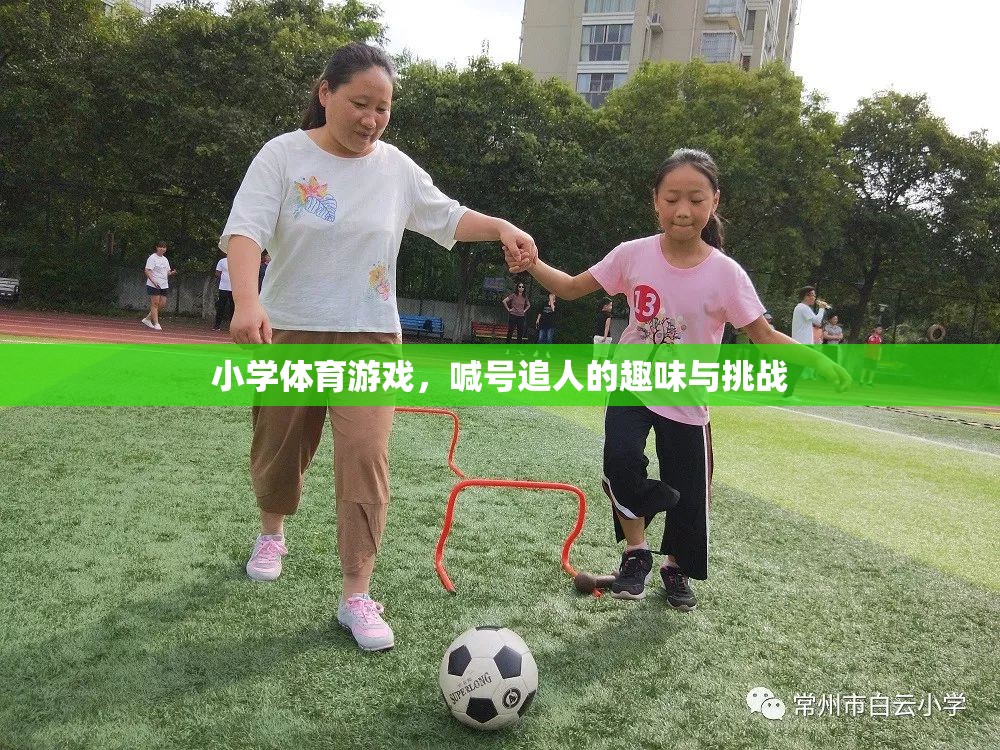 喊號追人，小學體育游戲的趣味與挑戰(zhàn)