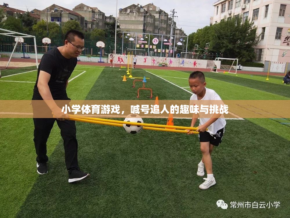 喊號追人，小學體育游戲的趣味與挑戰(zhàn)