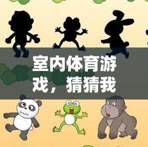 室內(nèi)體育游戲，猜猜我是誰——團(tuán)隊(duì)默契與智力的趣味挑戰(zhàn)