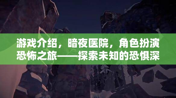 暗夜醫(yī)院，角色扮演的恐怖之旅，探索未知的恐懼深淵  第3張