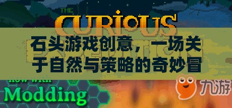 自然與策略的奇妙碰撞，石頭游戲創(chuàng)意冒險之旅  第3張
