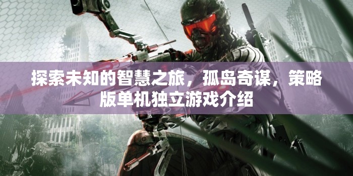 孤島奇謀，探索未知的智慧之旅——一款策略版單機獨立游戲