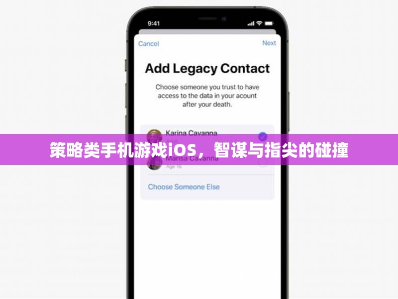 智謀與指尖的碰撞，iOS平臺上的策略類手機游戲  第2張