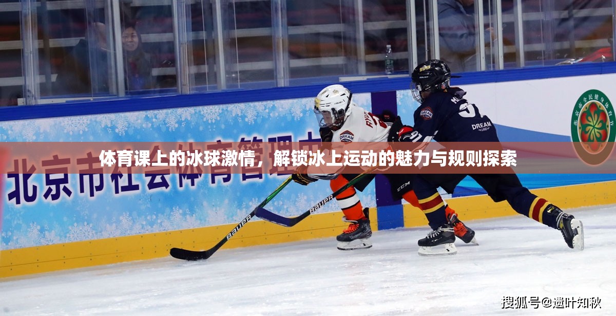 冰球激情，解鎖冰上運(yùn)動(dòng)的魅力與規(guī)則探索