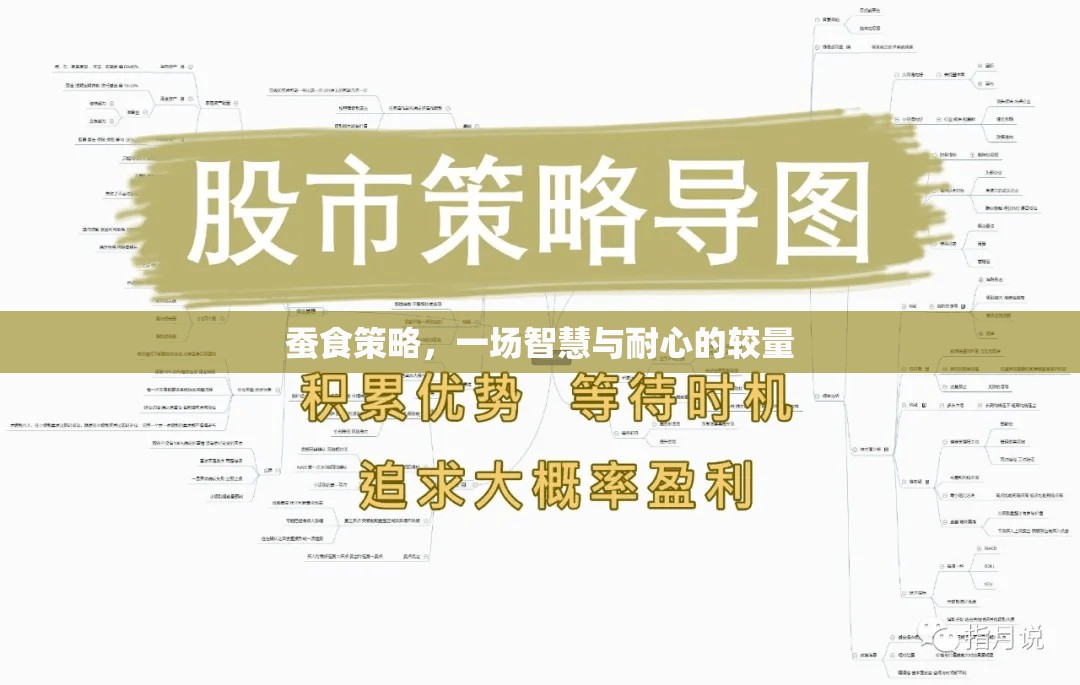 智慧與耐心的較量，蠶食策略的深度解析