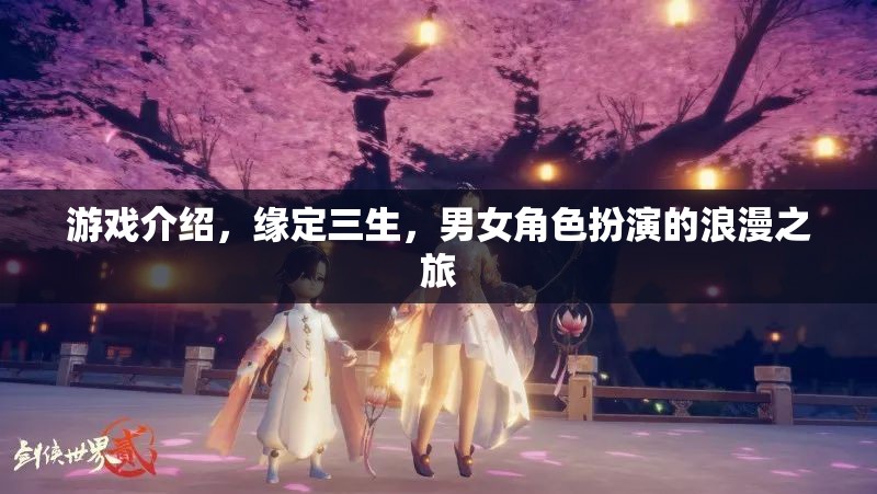 緣定三生，浪漫之旅的男女角色扮演游戲