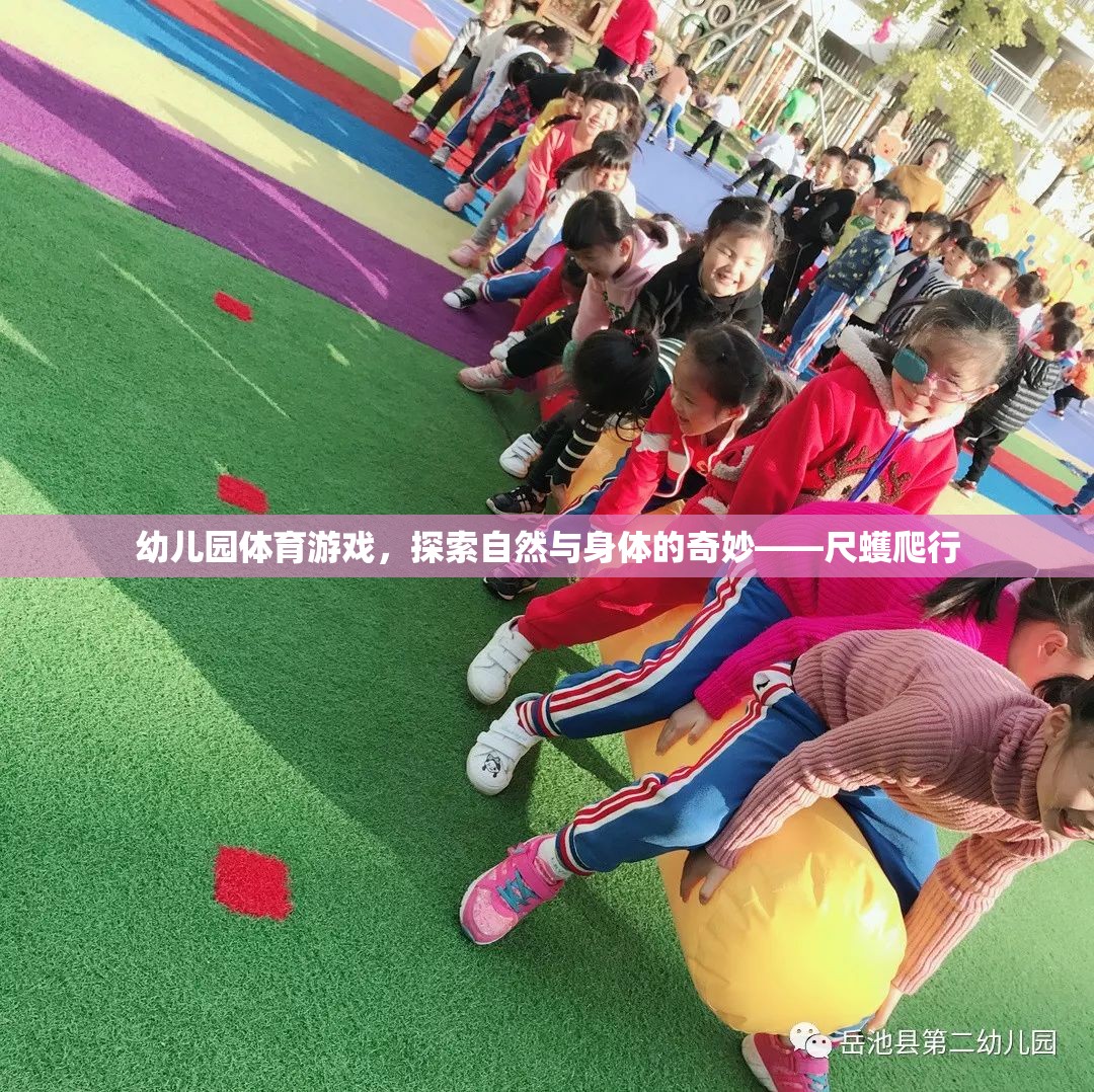 探索自然與身體的奇妙，幼兒園尺蠖爬行體育游戲