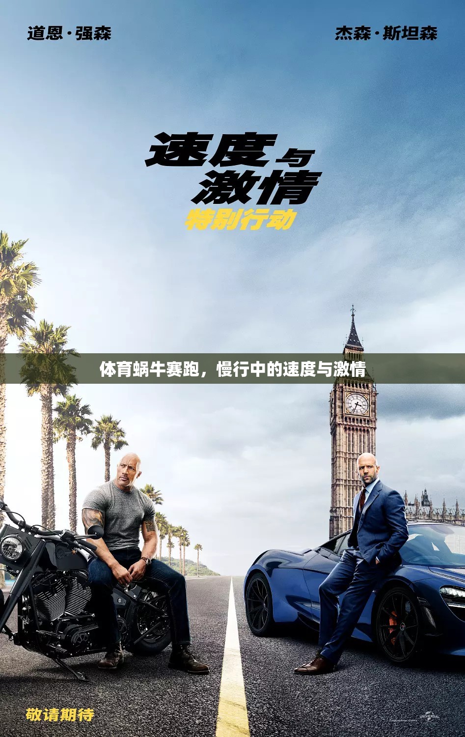 慢行中的速度與激情，體育蝸牛賽跑