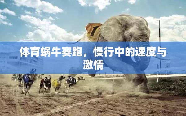 慢行中的速度與激情，體育蝸牛賽跑  第2張