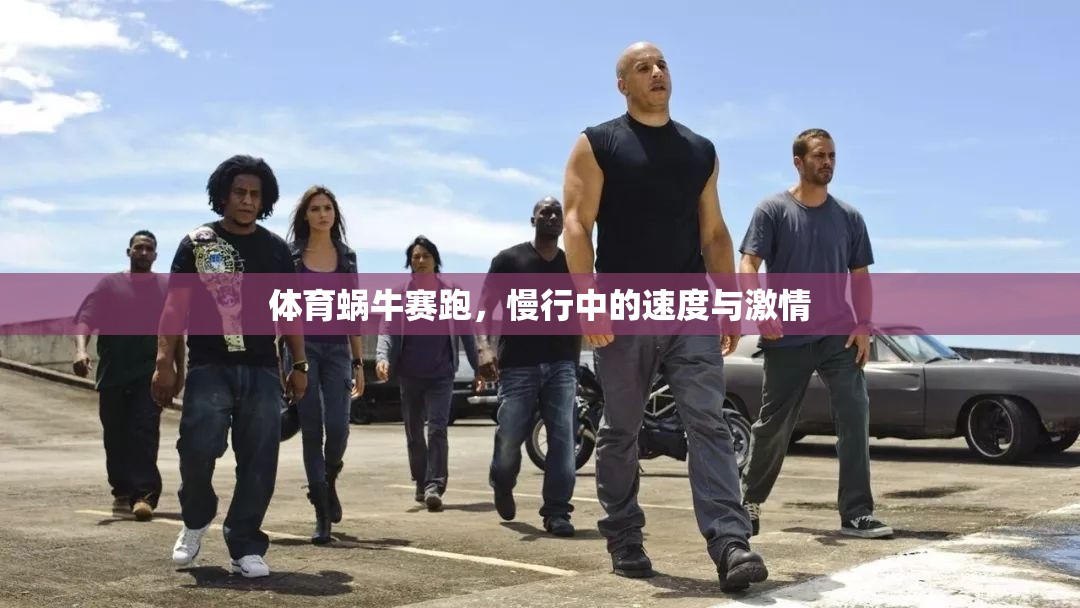 慢行中的速度與激情，體育蝸牛賽跑  第3張