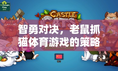 智勇對決，老鼠抓貓?bào)w育游戲中的策略與樂趣