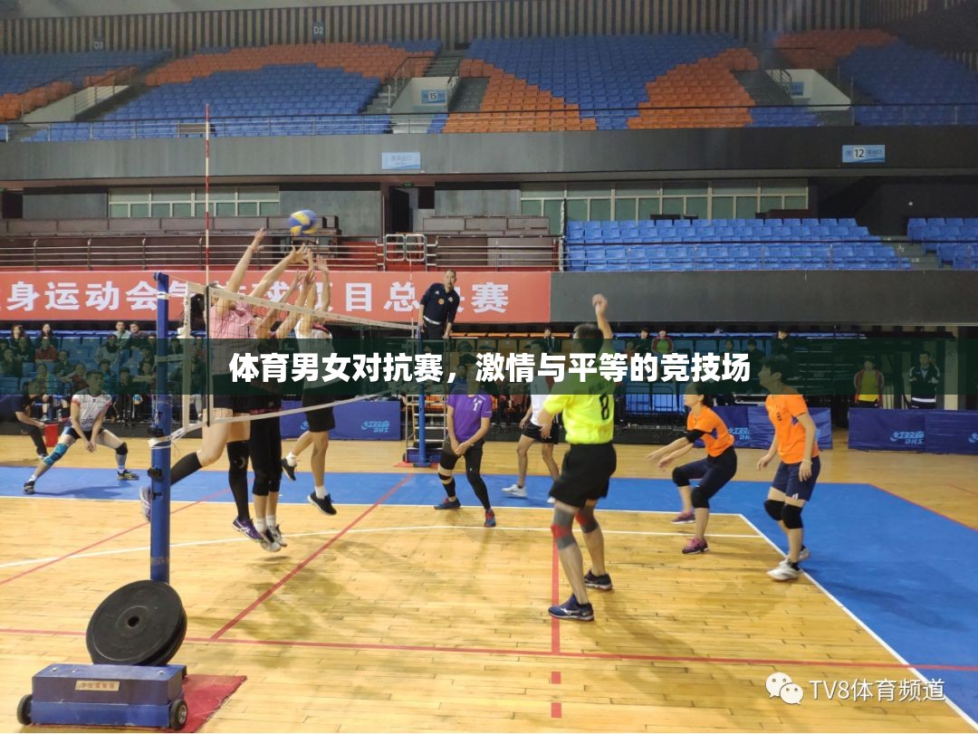 激情與平等的競技場，體育男女對抗賽的碰撞與融合