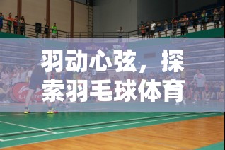羽動心弦，解鎖羽毛球體育游戲的無限魅力