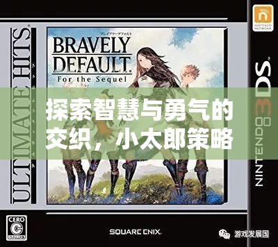 小太郎策略游戲，智慧與勇氣的深度交織