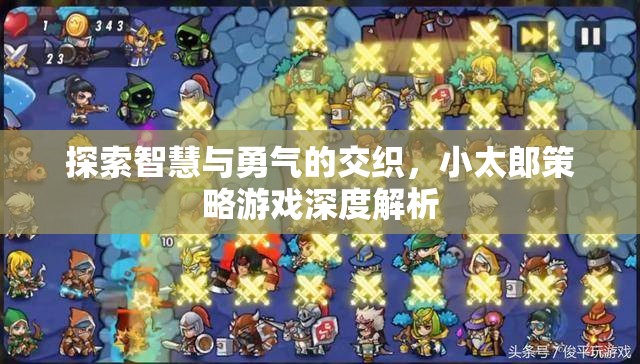 小太郎策略游戲，智慧與勇氣的深度交織