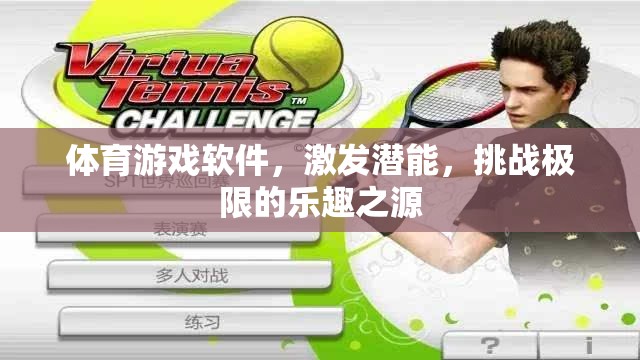 激發(fā)潛能，挑戰(zhàn)極限，體育游戲軟件——樂(lè)趣與成長(zhǎng)并進(jìn)的源泉