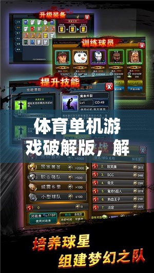 解鎖運動激情，體育單機游戲破解版數(shù)字鑰匙