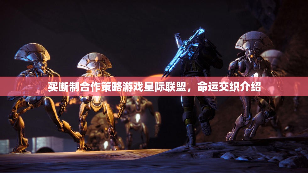 星際聯(lián)盟，買斷制合作策略游戲中的命運交織