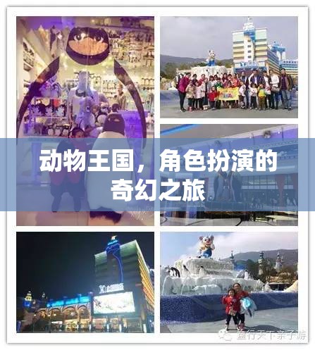 動物王國，角色扮演的奇幻冒險之旅