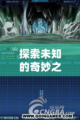 探索夢(mèng)幻王國(guó)，NDS策略游戲的奇妙之旅深度解析