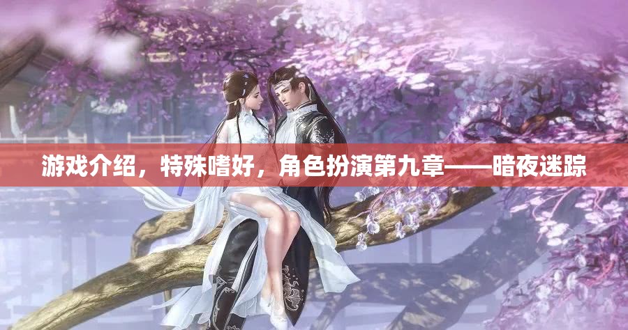 暗夜迷蹤，角色扮演的特殊嗜好與游戲介紹