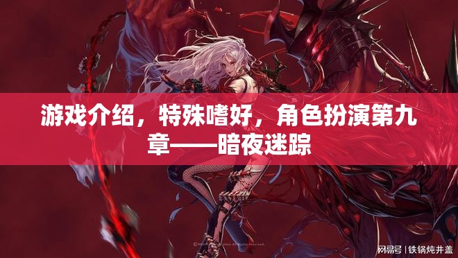 暗夜迷蹤，角色扮演的特殊嗜好與游戲介紹
