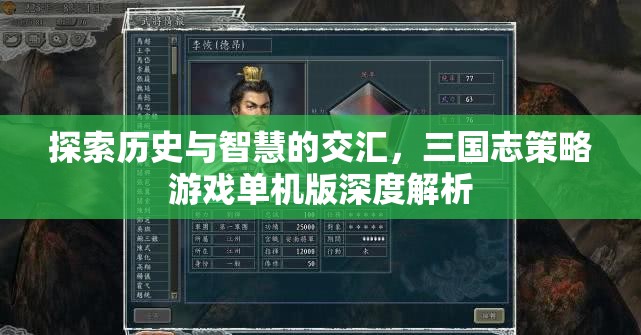三國(guó)志策略游戲單機(jī)版，歷史與智慧的深度交匯  第3張