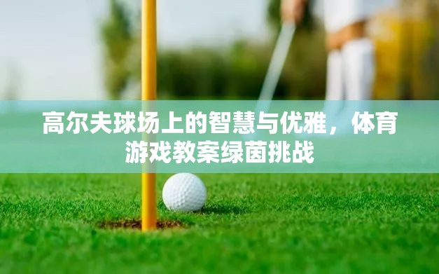 綠茵挑戰(zhàn)，高爾夫球場上的智慧與優(yōu)雅體育游戲教案