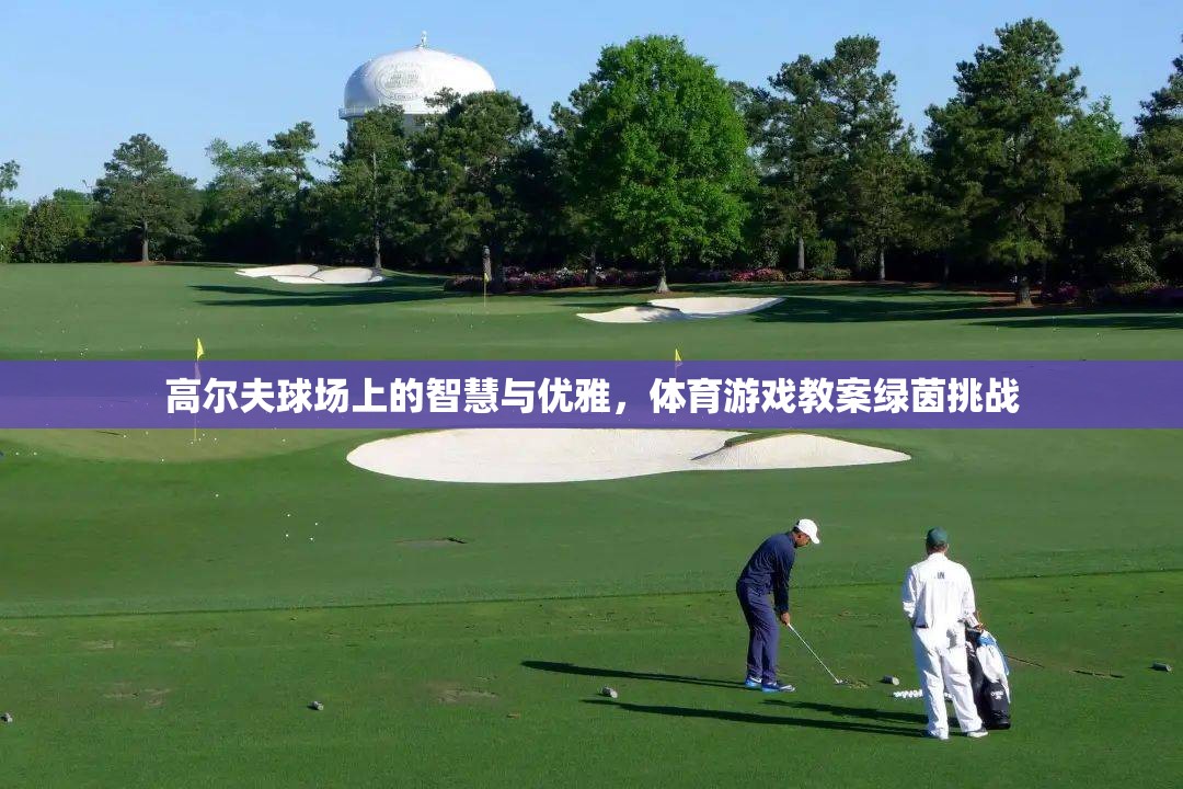綠茵挑戰(zhàn)，高爾夫球場上的智慧與優(yōu)雅體育游戲教案  第2張