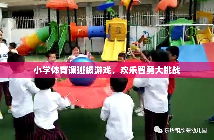 歡樂智勇大挑戰(zhàn)，小學體育課的班級游戲盛宴