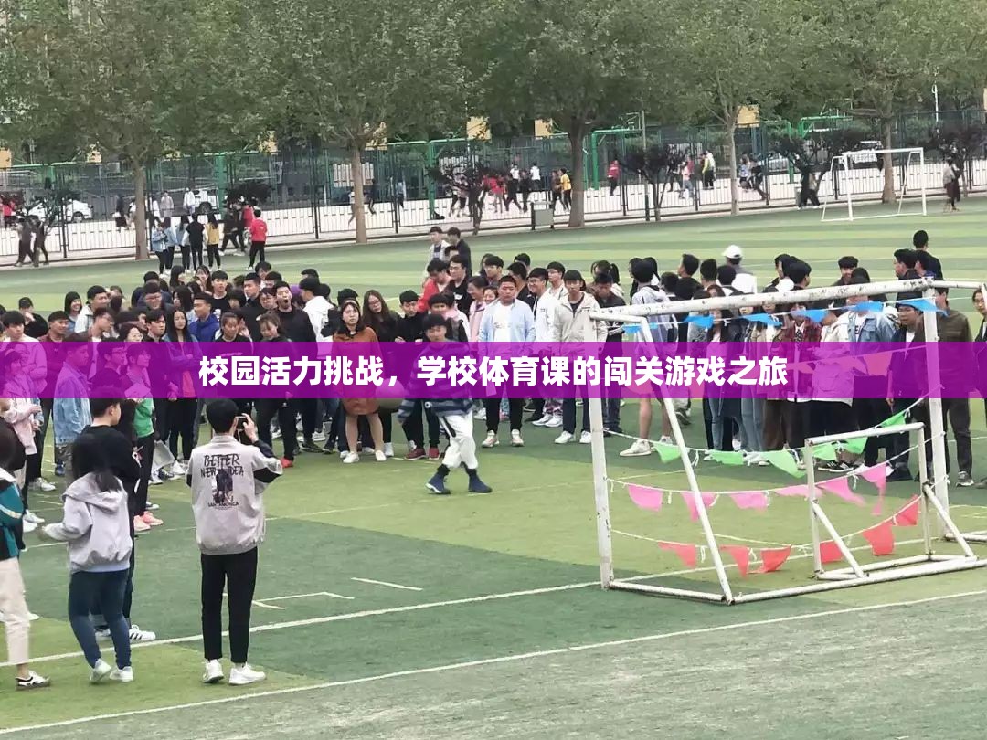 校園活力挑戰(zhàn)，學校體育課的闖關(guān)游戲之旅  第3張