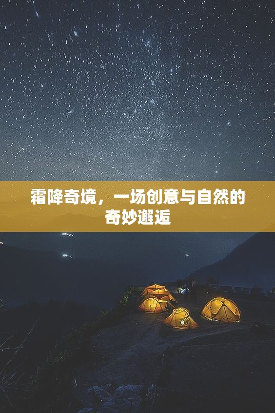 霜降奇境，創(chuàng)意與自然的夢幻交融