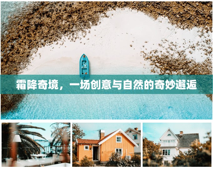 霜降奇境，創(chuàng)意與自然的夢幻交融  第2張