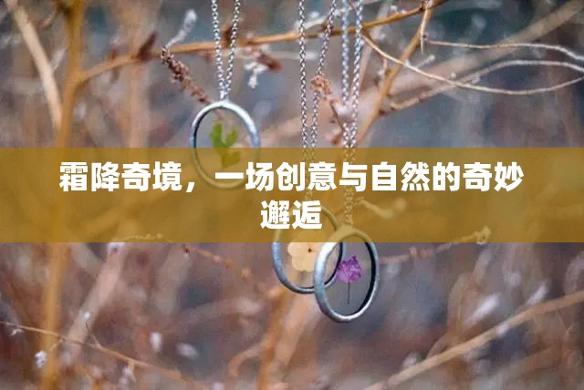霜降奇境，創(chuàng)意與自然的夢幻交融  第3張