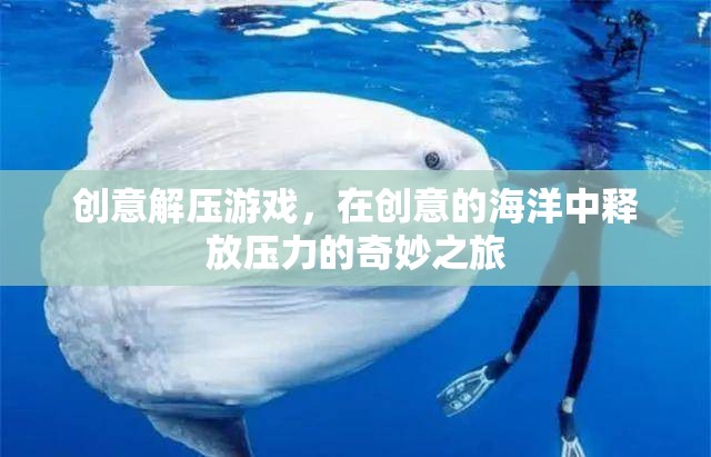 創(chuàng)意解壓游戲，在創(chuàng)意海洋中釋放壓力的奇妙之旅
