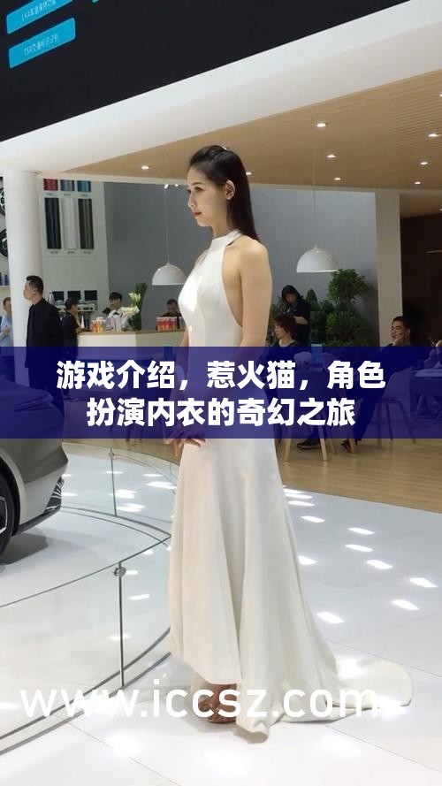 惹火貓，角色扮演內(nèi)衣的奇幻冒險(xiǎn)之旅  第3張