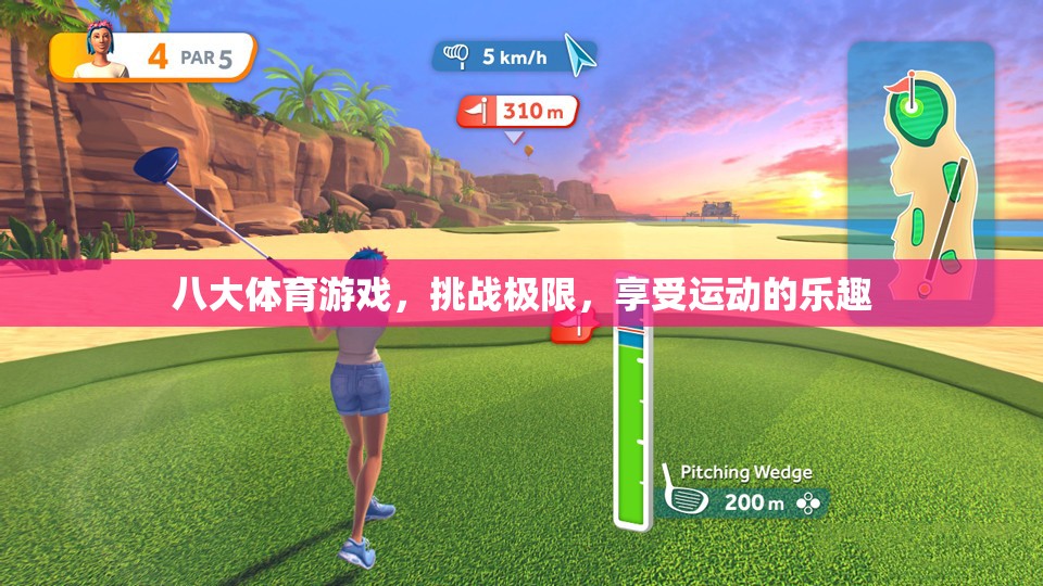 挑戰(zhàn)極限，樂(lè)享運(yùn)動(dòng)，八大體育游戲精彩集錦