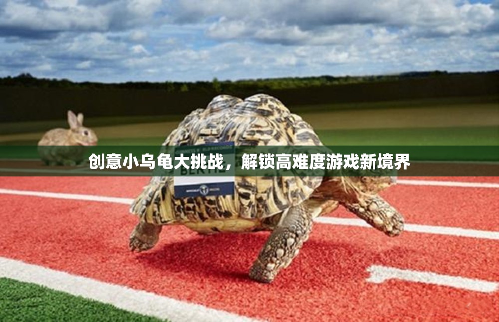 創(chuàng)意小烏龜大挑戰(zhàn)，解鎖高難度游戲新境界