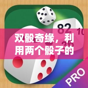 雙骰奇緣，利用骰子游戲優(yōu)化教學(xué)策略的實(shí)踐與探索